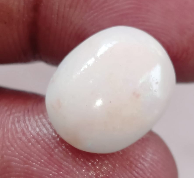 Opal 8